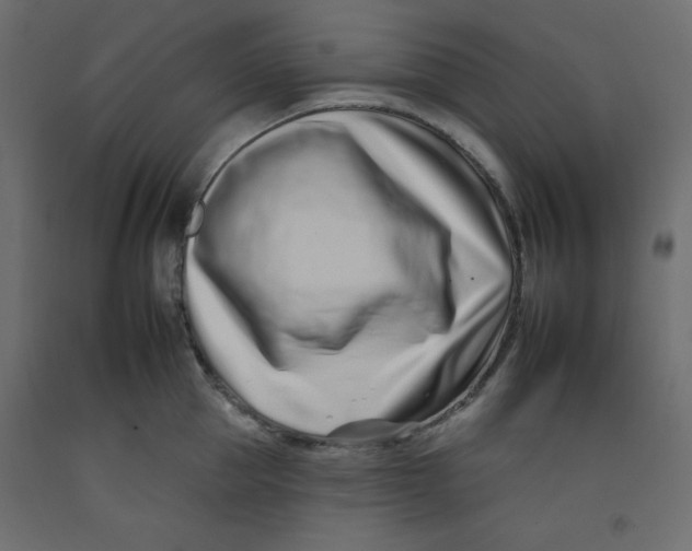 X0000092260953200710121336