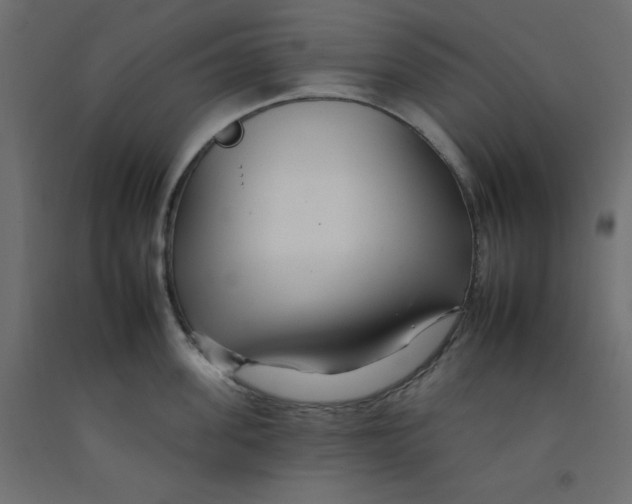 X0000092260955200710121336