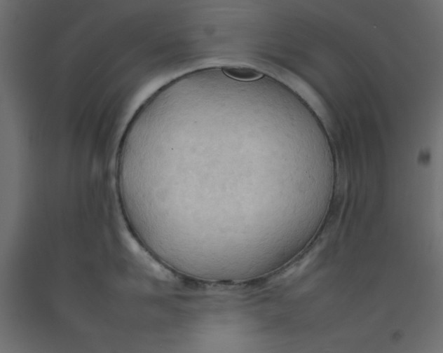 X0000092260958200710121336