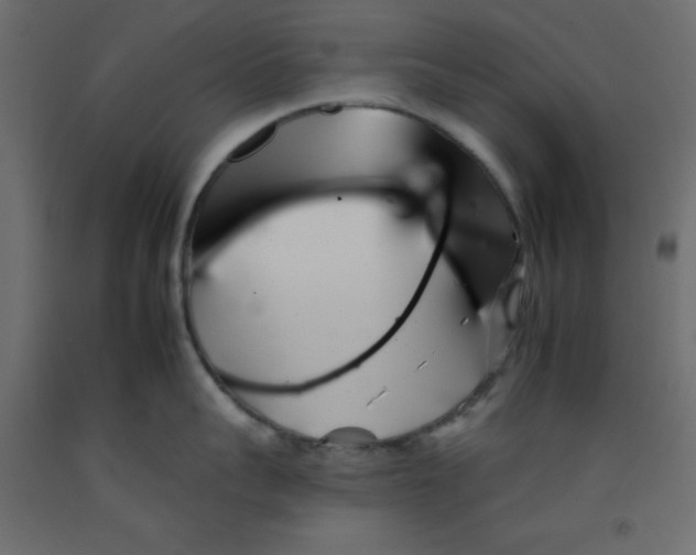 X0000092260959200710121336