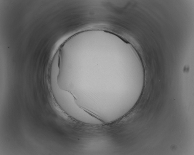 X0000092260960200710121336