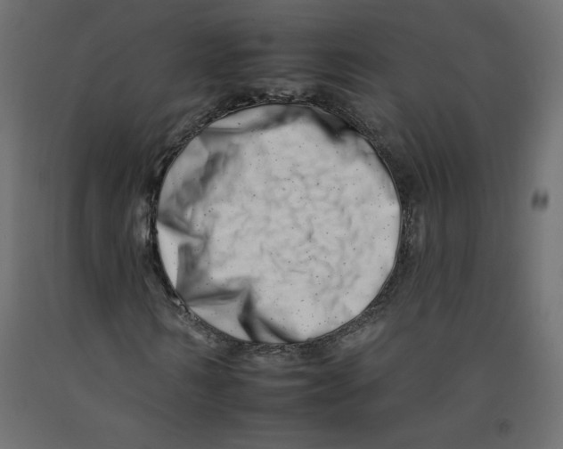 X0000092260962200710121336