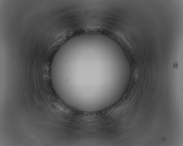 X0000092260964200710121336