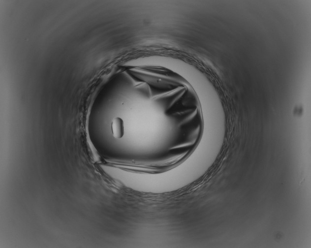 X0000092260965200710121335