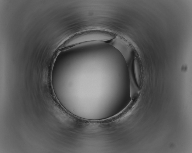 X0000092260969200710121335