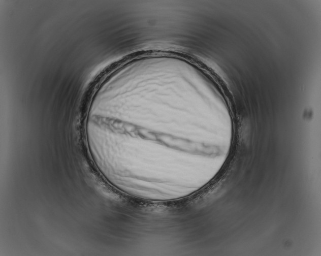 X0000092260971200710121335