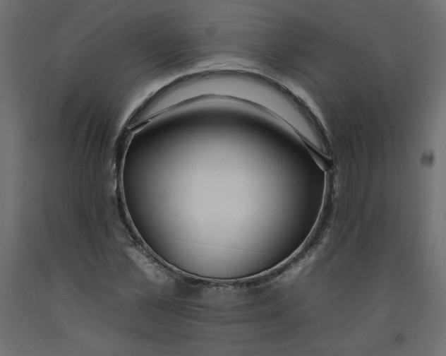 X0000092260973200710121335