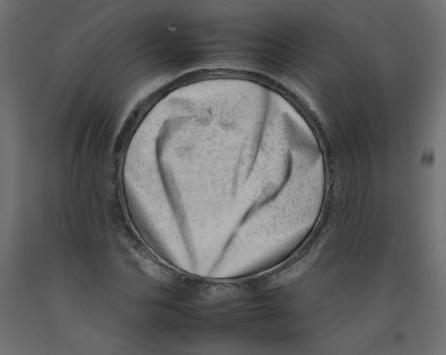 X0000092260974200710121335