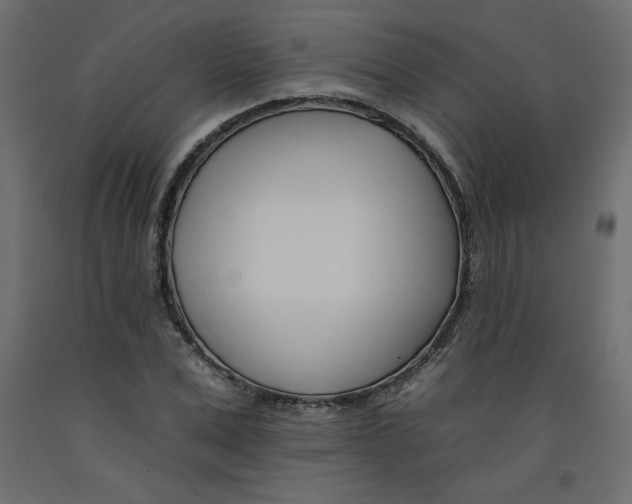 X0000092260975200710121335