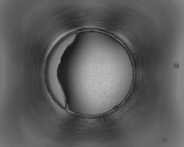 X0000092260976200710121335