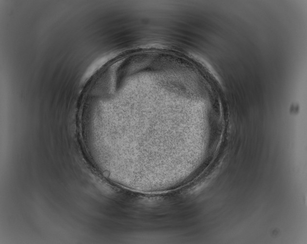 X0000092260978200710121335