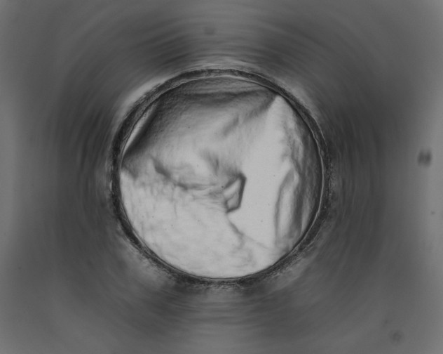 X0000092260979200710121335