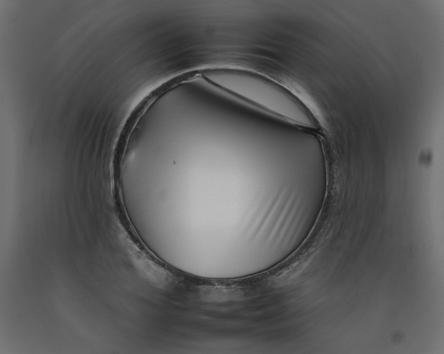 X0000092260980200710121335