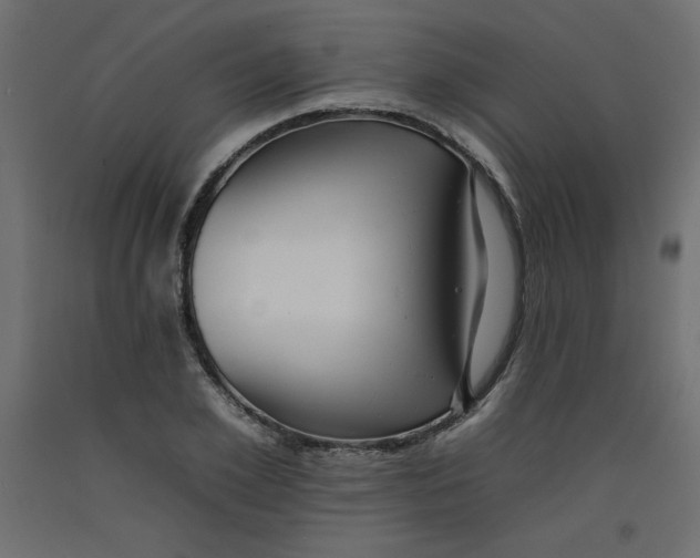 X0000092260981200710121335