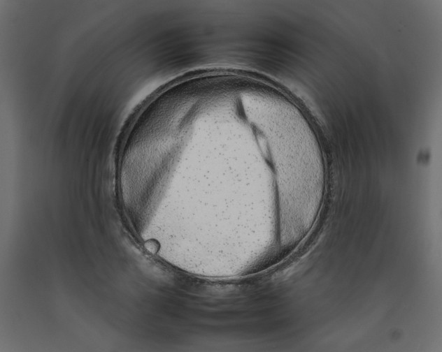 X0000092260982200710121335