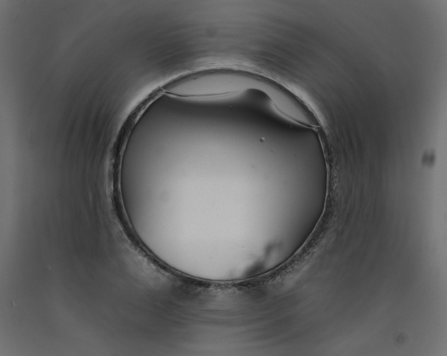 X0000092260983200710121335