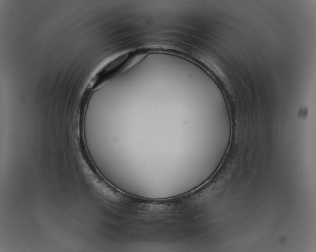 X0000092260984200710121335