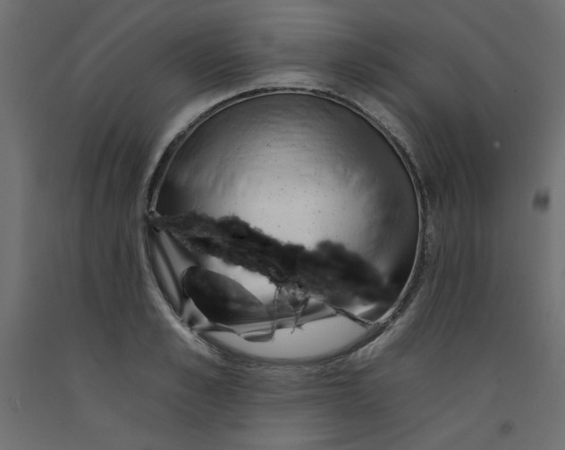 X0000092260989200710121335