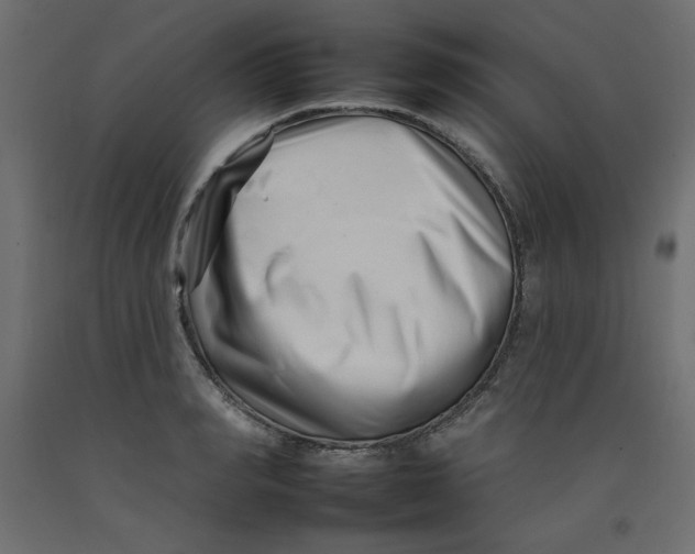 X0000092260990200710121335