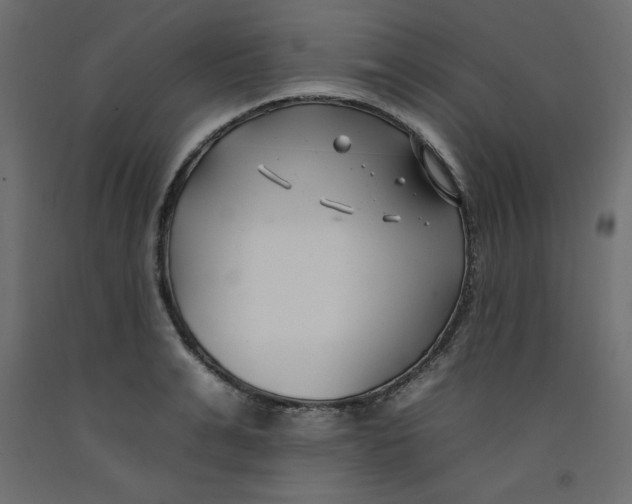 X0000092260991200710121335