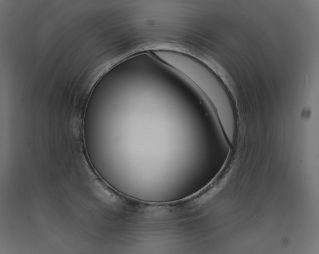 X0000092260993200710121335