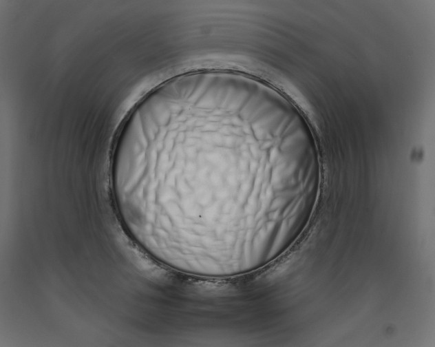 X0000092260994200710121335