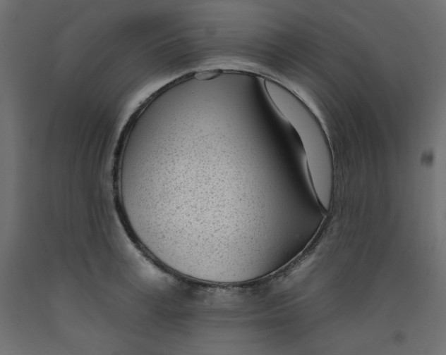 X0000092260995200710121335