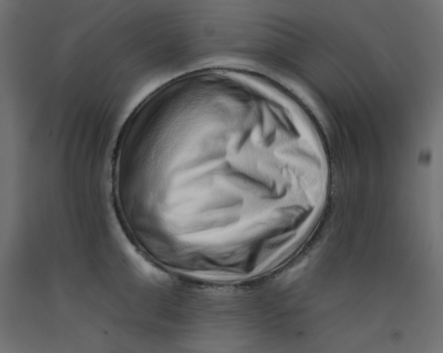 X0000092260999200710121335