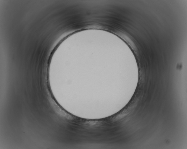 X0000092261000200710121335