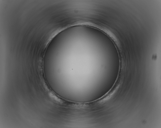 X0000092261001200710121335