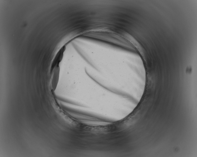 X0000092261002200710121335