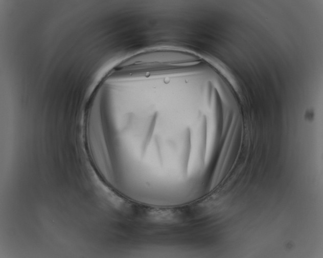 X0000092261006200710121335