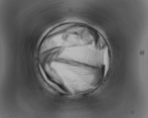 X0000092261008200710121335