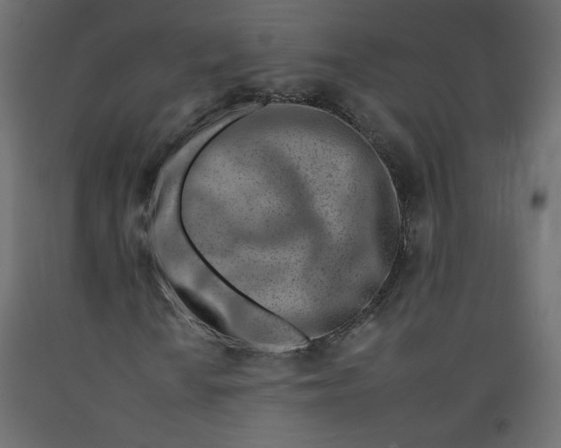 X0000092261010200710121334