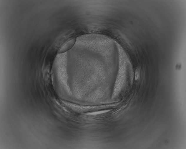 X0000092261011200710121334