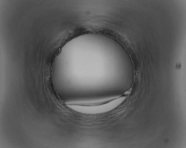 X0000092261012200710121334