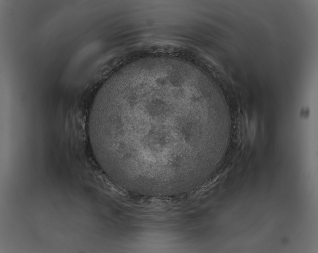 X0000092261013200710121334