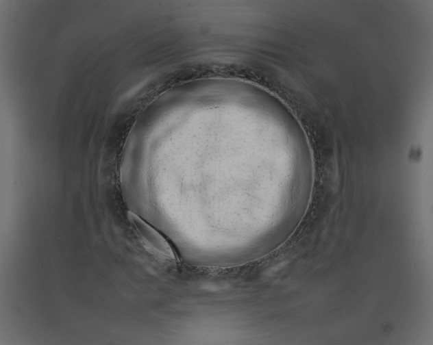 X0000092261014200710121334