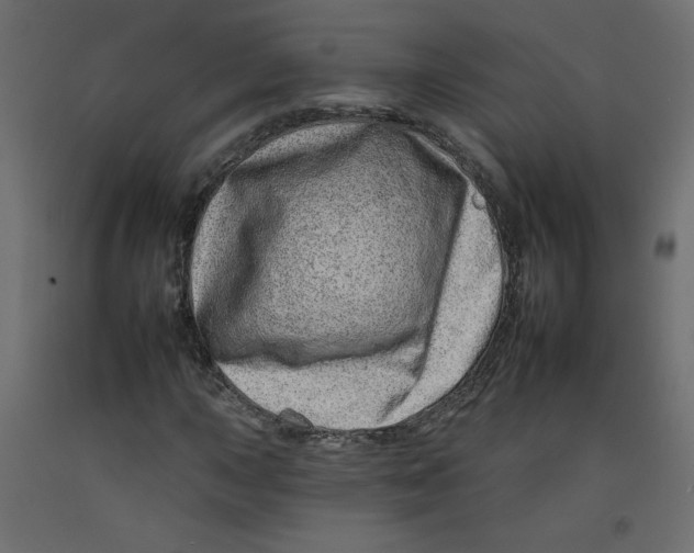 X0000092261015200710121334