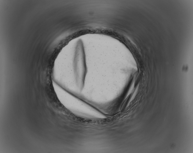 X0000092261016200710121334