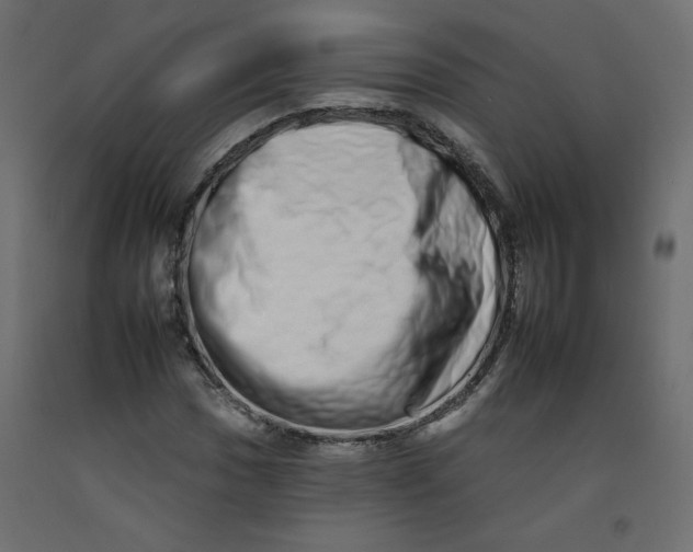 X0000092261017200710121334