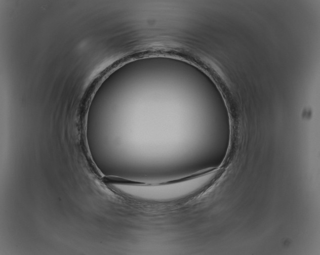 X0000092261018200710121334