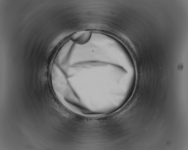 X0000092261019200710121334