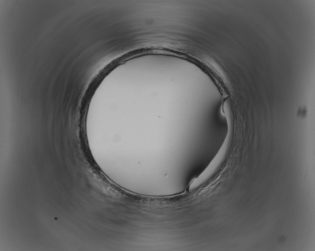 X0000092261020200710121334