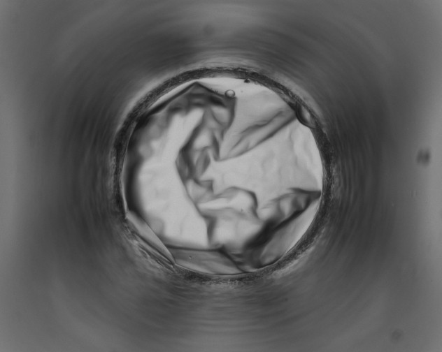 X0000092261021200710121335