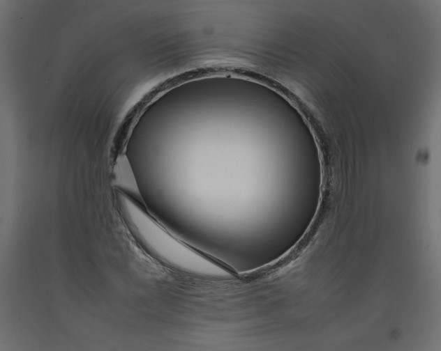 X0000092261022200710121335