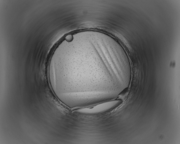 X0000092261023200710121335