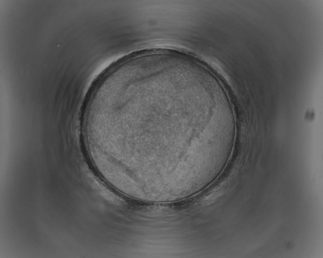 X0000092261024200710121335