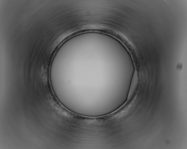 X0000092261025200710121335