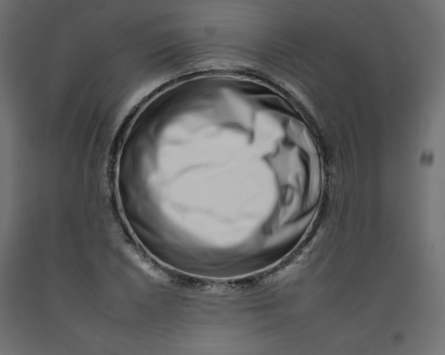 X0000092261026200710121335